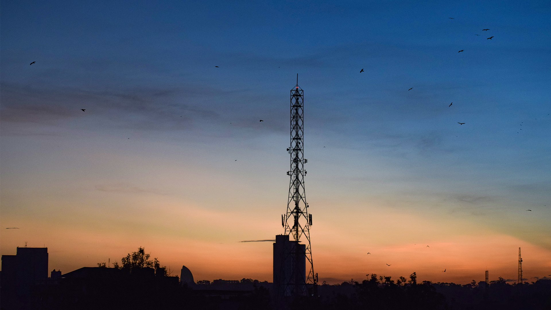 Nairobi skyline at dawn